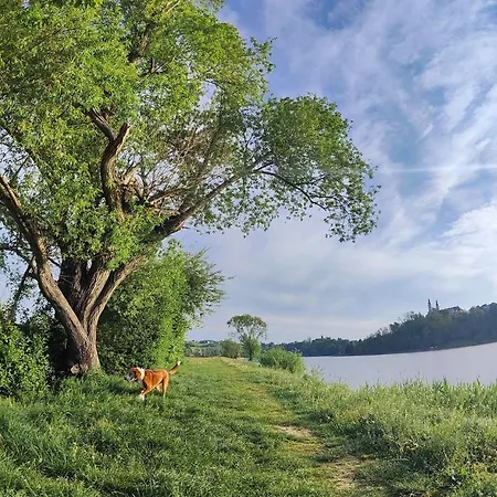 Cozy Fizio Dome Dom wakacyjny *