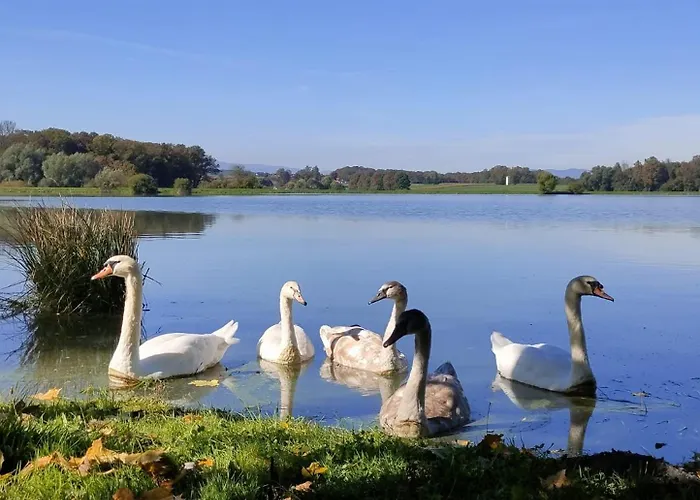 Cozy Fizio Dome بيت للعطل *