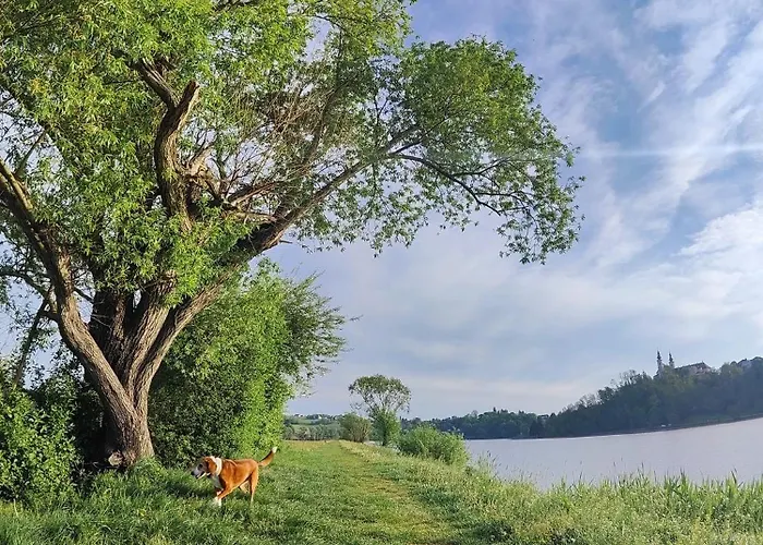 Cozy Fizio Dome بيت للعطل *